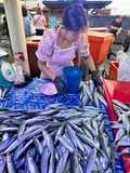 08-23 Fish monger i0255