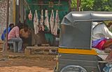 Fresh meat - India-2-1481