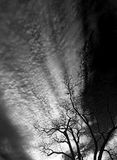 12-Winter-sky-08-2731-bw
