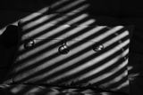 2023 12 18 Shadows at home 7322