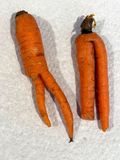 2024 01 06 Mr and Mrs Carrot i3729