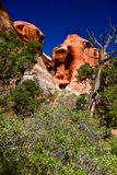 Utah19-2-0771