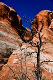 Utah19-2-0772