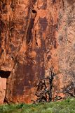 Utah19-2-0790