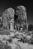 Utah19-2-0791bw