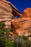 Utah19-2-0797