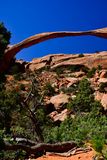 Landscape Arch Utah19-2-0806