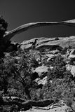 Lanscape Arch Utah19-2-0806bw