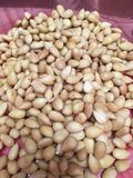 Skinned almonds - Moroc-i0445