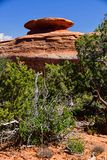 Utah19-2-0848