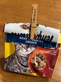 01 26 - If you have a cat you understand - i3853