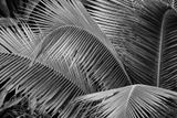 08 24 - 3777bw