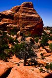 Utah19-2-0919