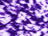 20240408 i4946