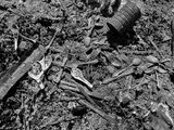 2024 03 25 Remains of a cabin iE4545bw