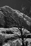 Utah19-2-0971bw