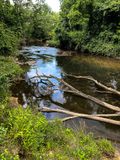 06 29 Brasstown Creek i1476