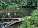 06 29 Brasstown Creek i1477