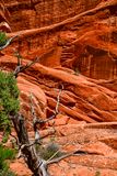 Utah19-2-0994