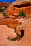Utah19-2-1020