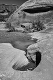Utah19-2-1020-2bw