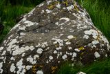 06 13 At Giants Causeway - 5065