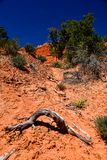 Utah19-2-1022