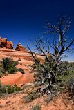 Utah19-2-1025