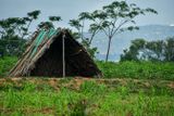 Work shelter India-2-1919