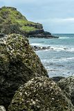 06 13 At Giants Causeway - 5078