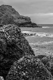 06 13 At Giants Causeway - 5078-2b w