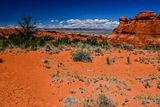 Utah19-2-1044