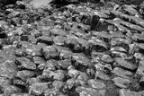 06 13 At Giants Causeway - Basalt - 5081bw