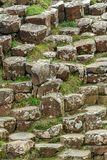 06 13 At Giants Causeway - Basalt - 5087