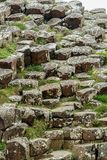 06 13 At Giants Causeway - Basalt - 5088
