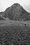 06 13 Basalt scree at Giants Causeway 5099-2bw