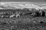  Utah-2-1067-2bw