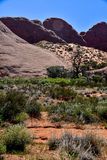 Utah19-2-1104