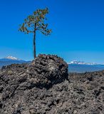 2024 07 19 At Newberry National Volcanic Monument i4477