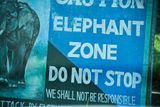 09 04 Elephant Zone India-2-2047
