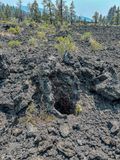 2024 07 20 Casts of tree trunks in lava flow - Lava Cast Forest - i7171