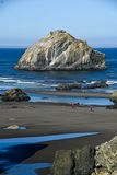 2024 07 24 Face Rock, Bandon, Oregon 8810