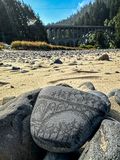 2024 07 26 Beach find i8709