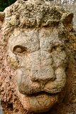 04 02 Ifrane - Lions once roamed here 3657