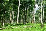 09 04 India-2-2135