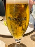 06 13 Heverlee i0890