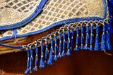04 02 Saddle pad on a tourist ride horse High plains of the Atlas Mountains  Moroc-37143743