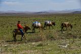 04 02 Sheep herder packing supplies Moroc-3798