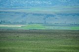 04 02 High plains grazing lines Moroc-3806