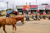 09 04 In the southern part of India cows in the road are replaced by horses India-2-2299